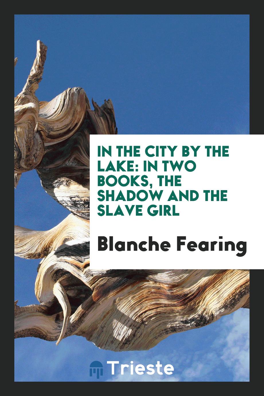 In the City by the Lake: In Two Books, The Shadow and The Slave Girl