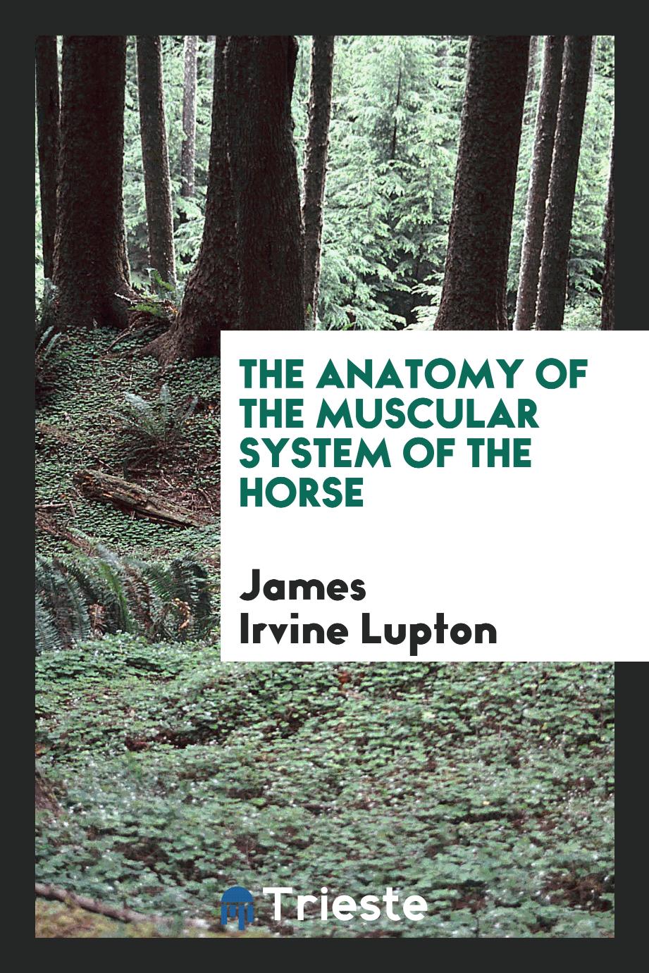James Irvine Lupton - The Anatomy of the Muscular System of the Horse