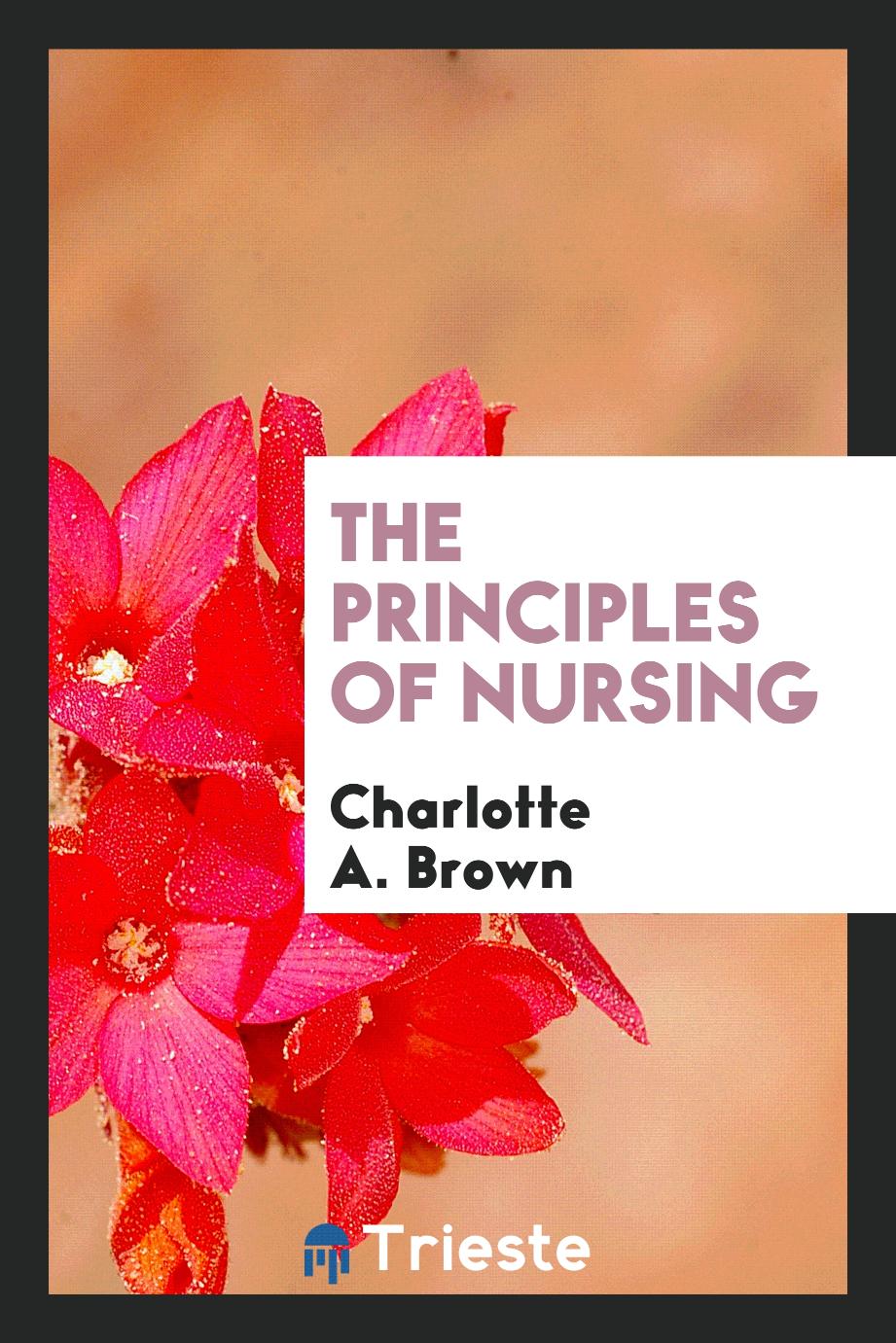The Principles of Nursing