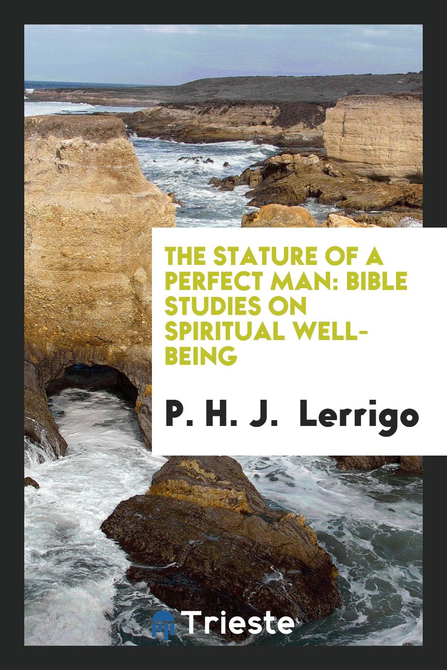 The stature of a perfect man: Bible studies on spiritual well-being