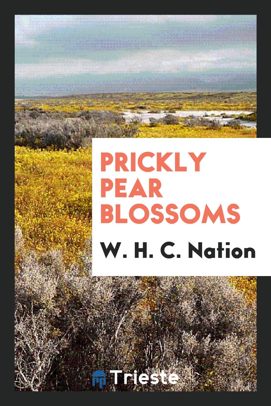 Prickly Pear Blossoms