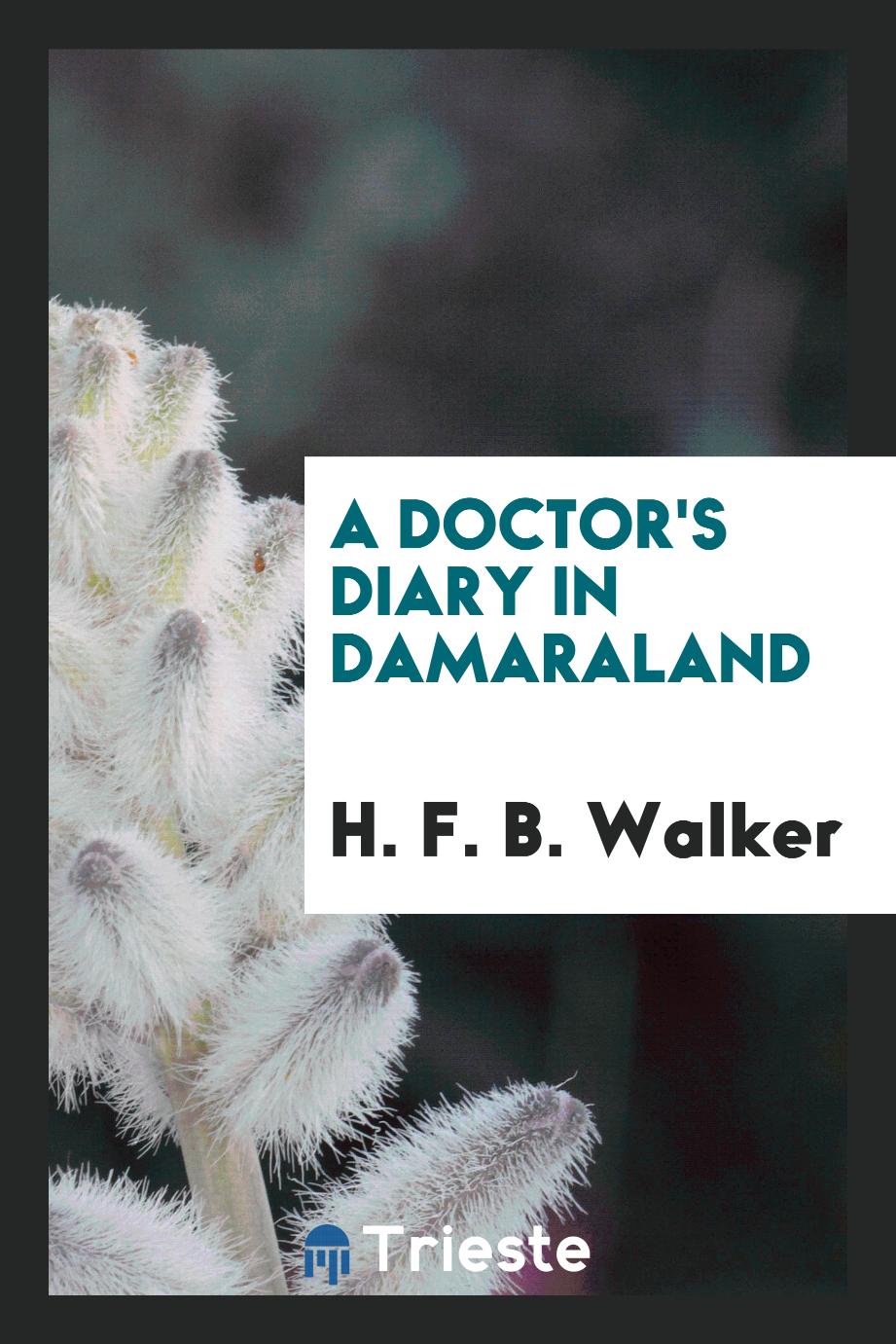 A doctor's diary in Damaraland