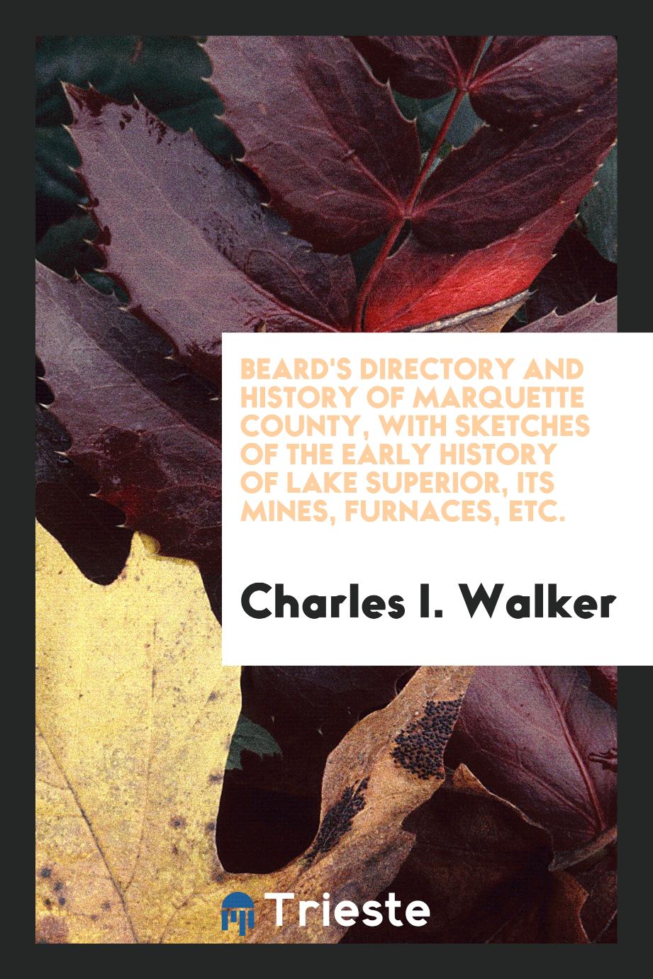 Beard's Directory and History of Marquette County, with Sketches of the Early History of Lake Superior, Its Mines, Furnaces, Etc.