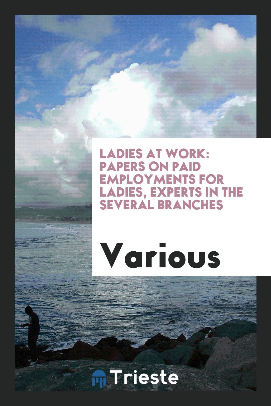 Ladies at Work: Papers on Paid Employments for Ladies, Experts in the Several Branches