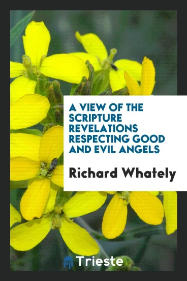 A view of the Scripture revelations respecting good and evil angels