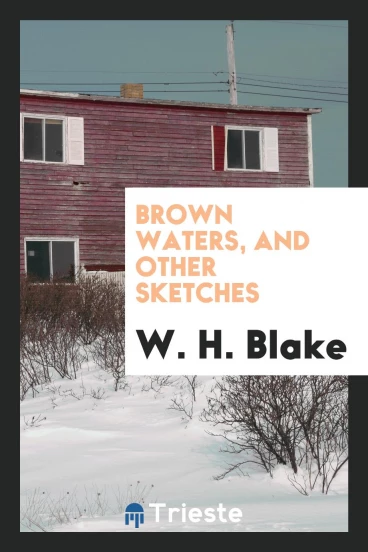 Brown waters, and other sketches