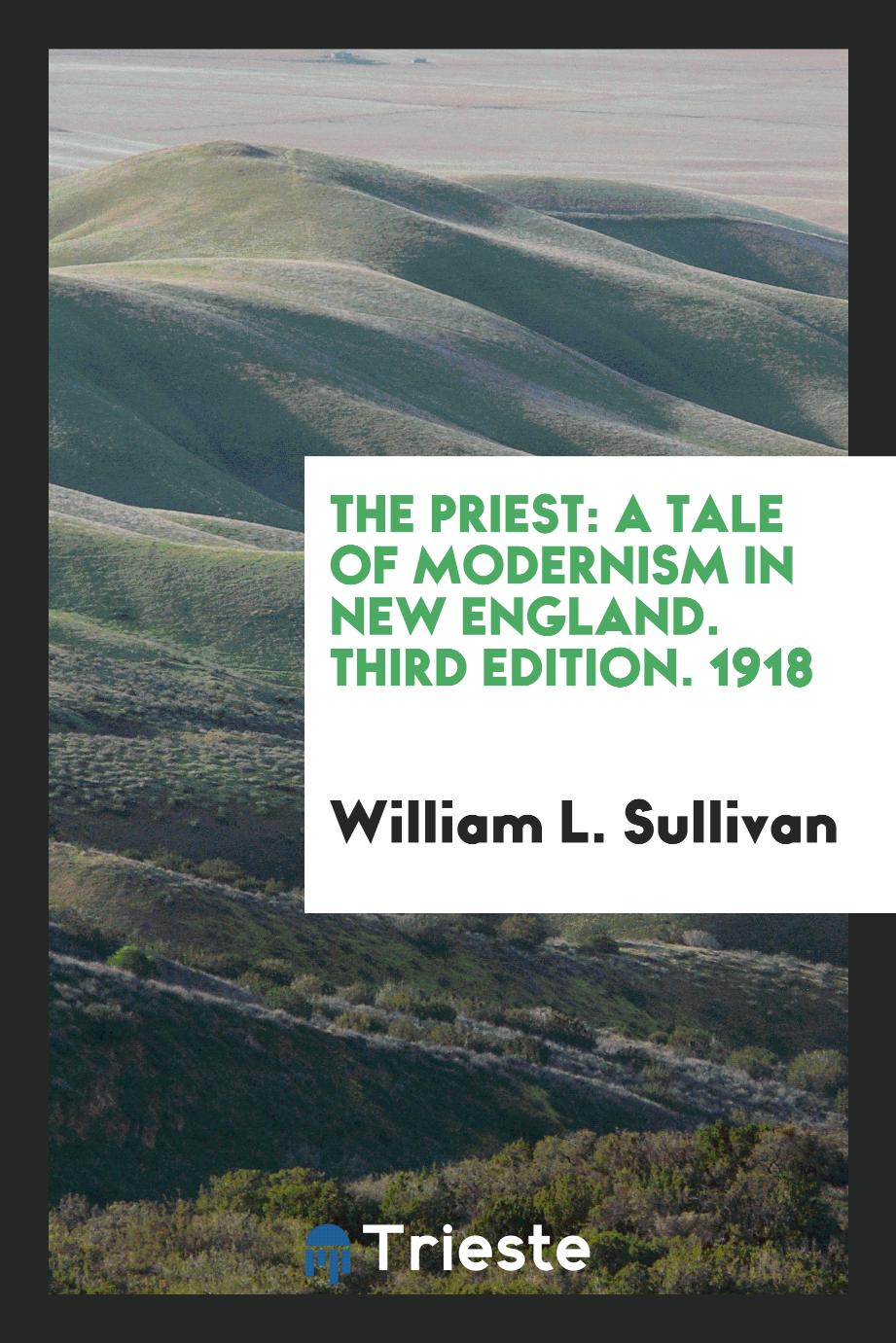 The Priest: A Tale of Modernism in New England. Third Edition. 1918