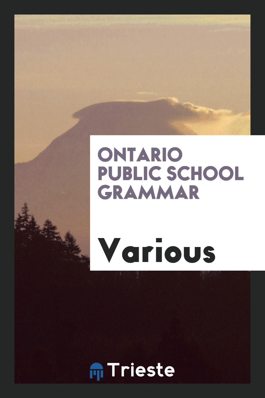 Ontario public school grammar