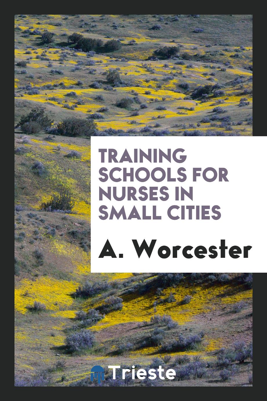 Training schools for nurses in small cities