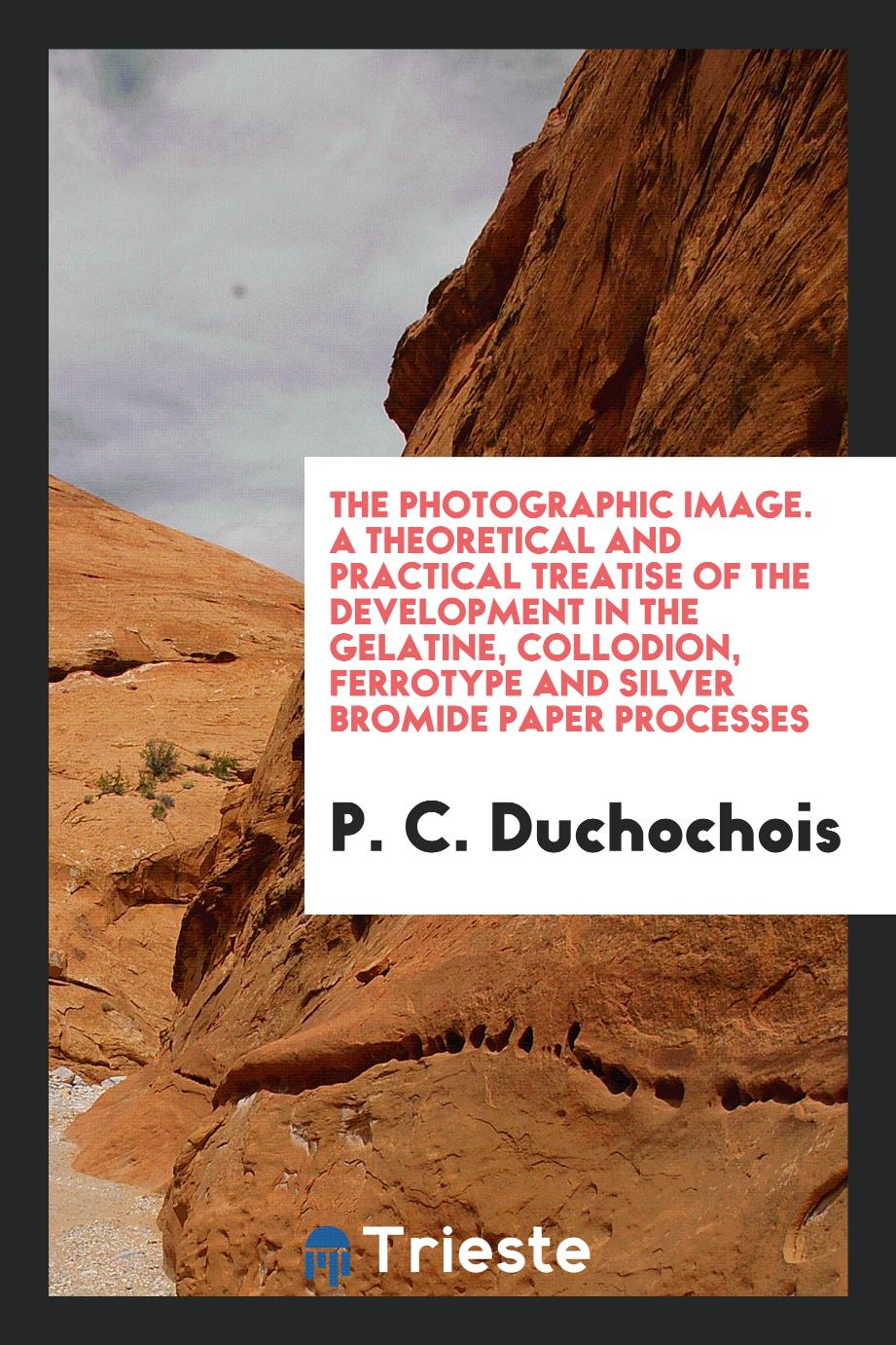 The photographic image. A theoretical and practical treatise of the development in the gelatine, collodion, ferrotype and silver bromide paper processes