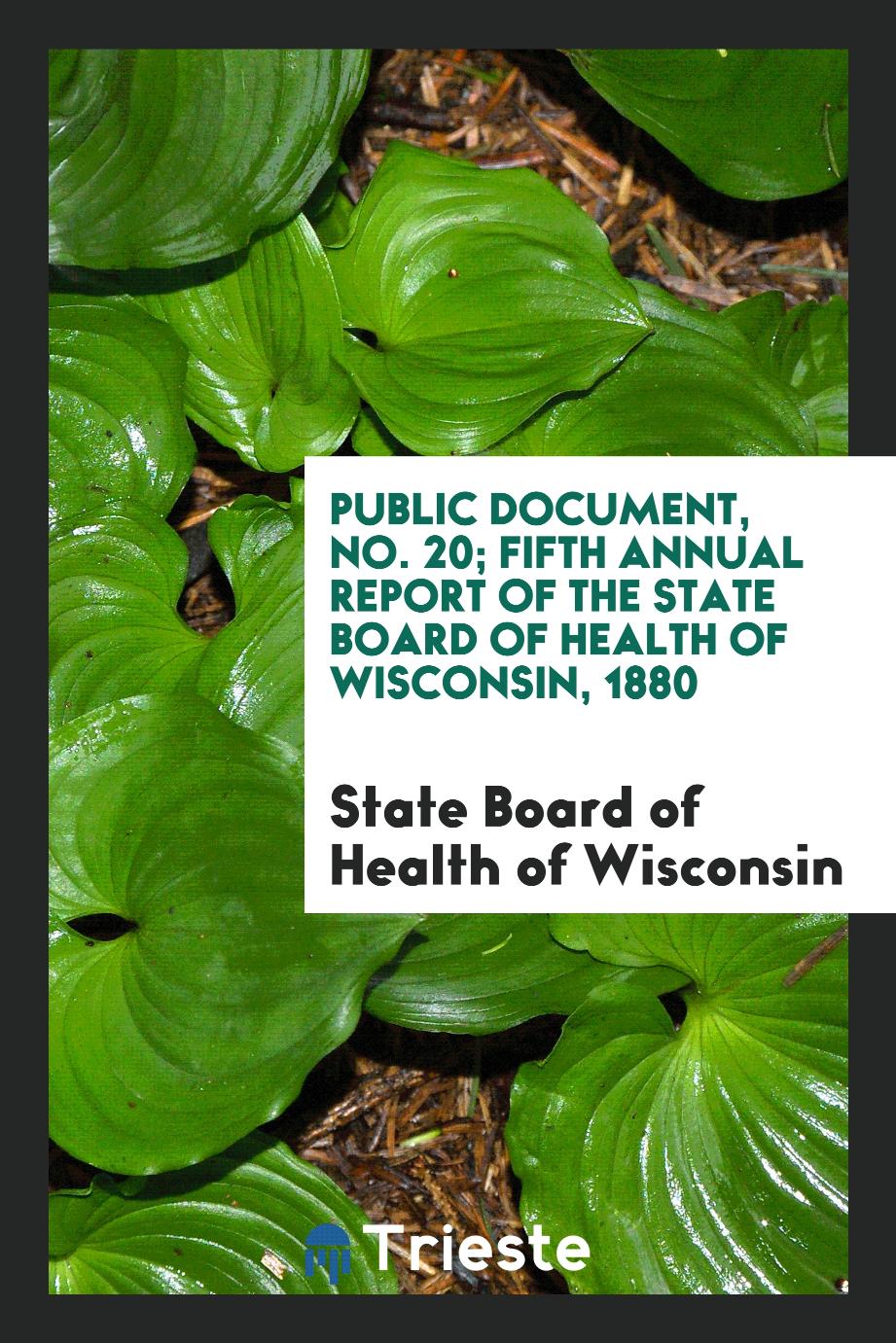 Public Document, No. 20; Fifth Annual Report of the State Board of Health of Wisconsin, 1880