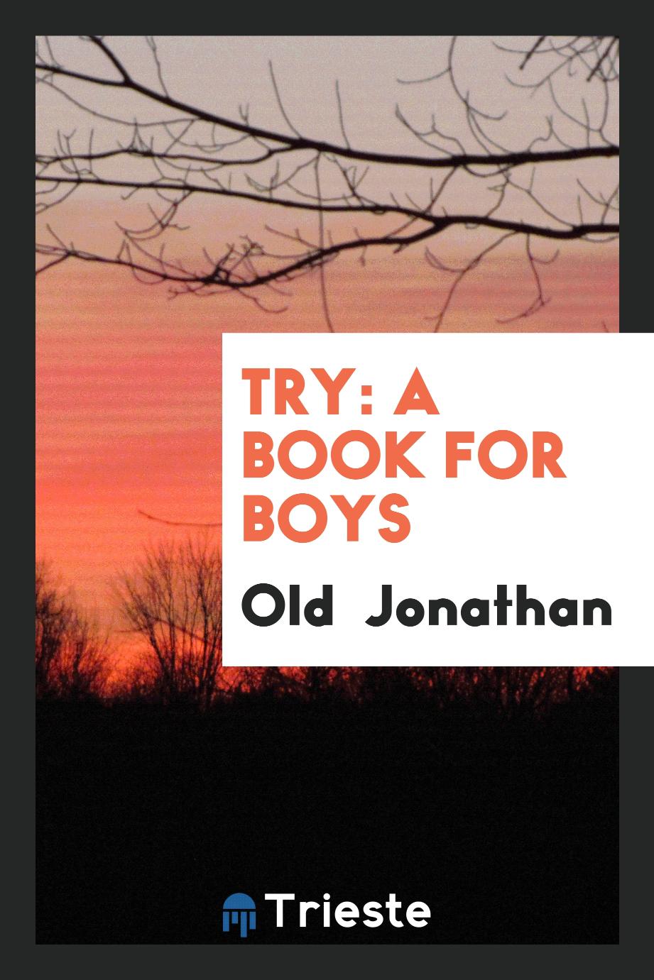 Try: A Book for Boys