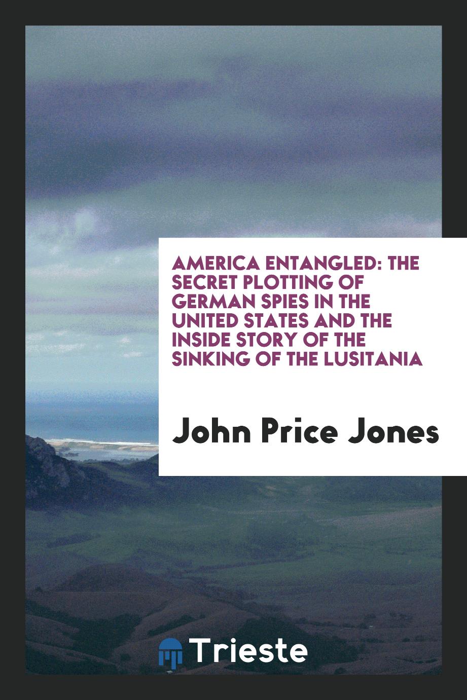 America Entangled: The Secret Plotting of German Spies in the United States and the Inside Story of the Sinking of the Lusitania