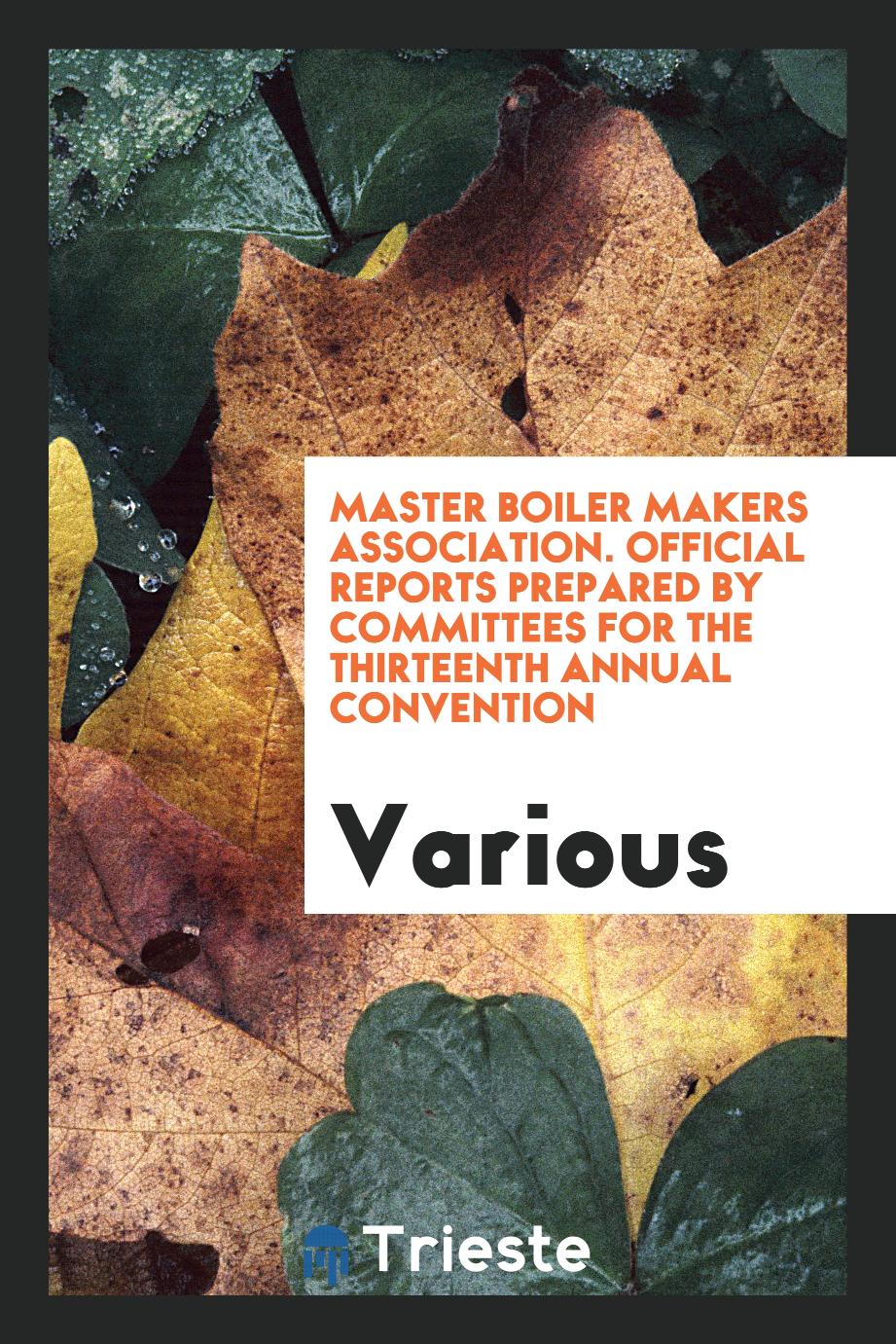 Master Boiler Makers Association. Official reports prepared by committees for the Thirteenth annual convention