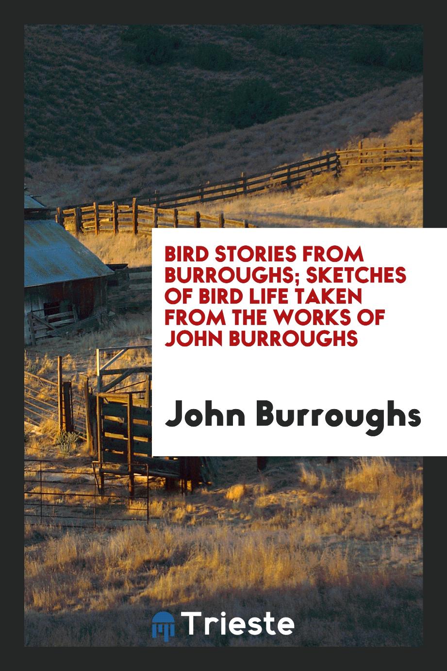 Bird stories from Burroughs; sketches of bird life taken from the works of John Burroughs