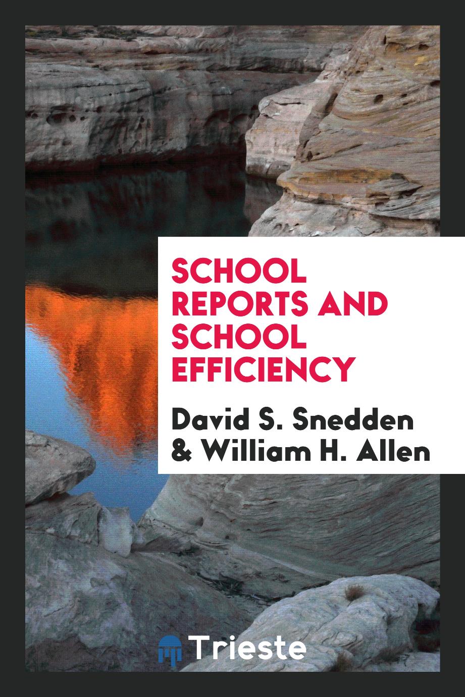 School reports and school efficiency