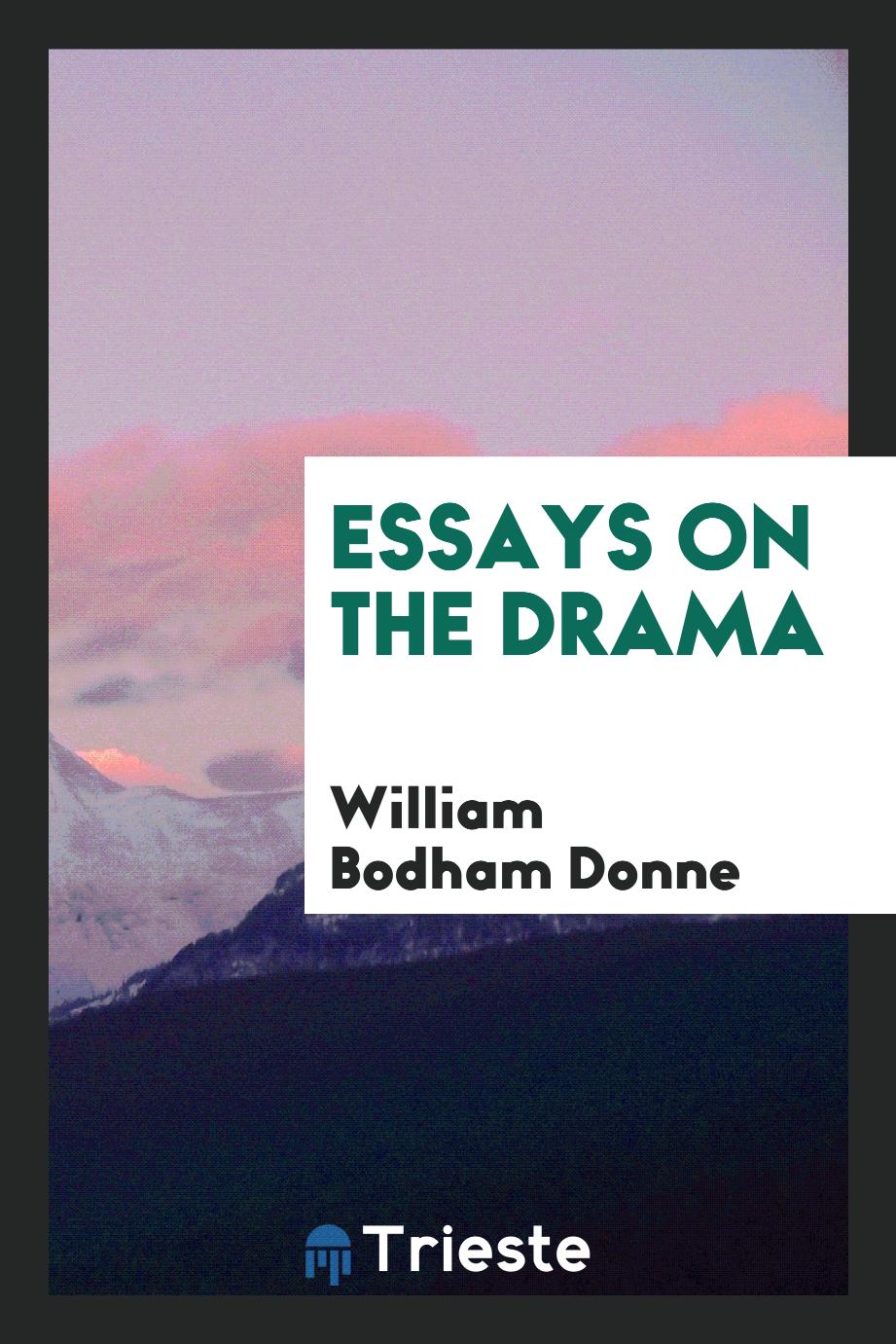 Essays on the drama