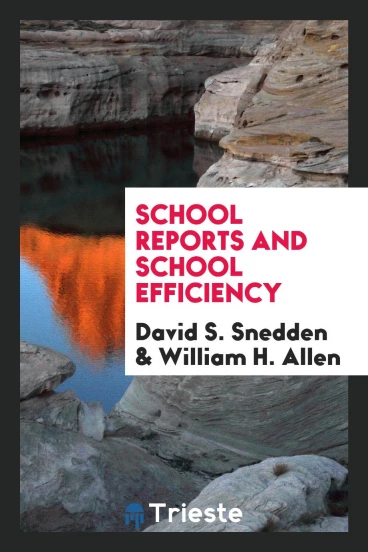 School reports and school efficiency