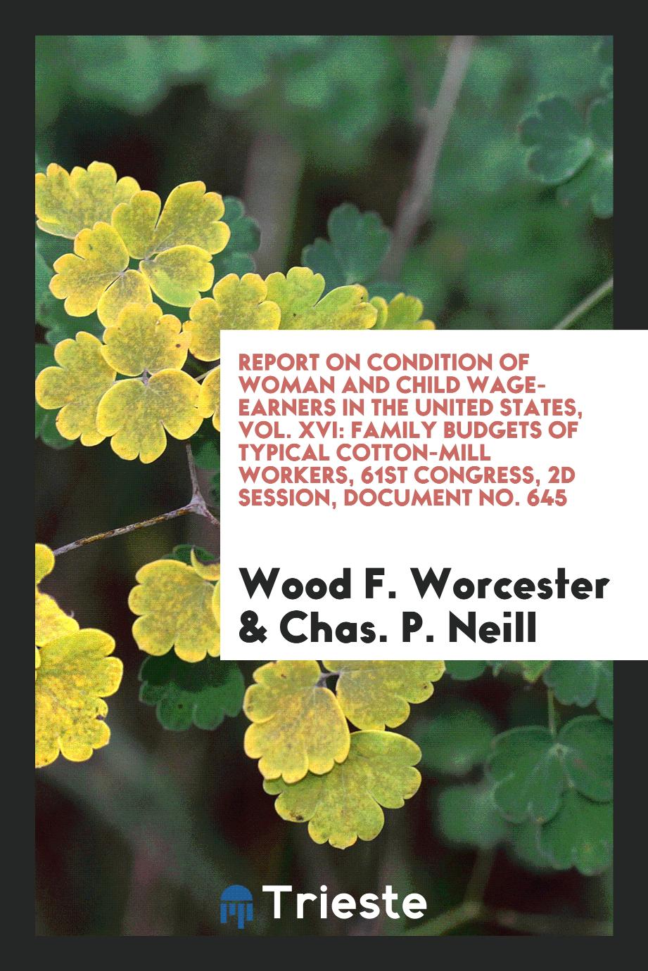 Report on condition of woman and child wage-earners in the United States, Vol. XVI: Family budgets of typical cotton-mill workers, 61st Congress, 2d session, Document No. 645