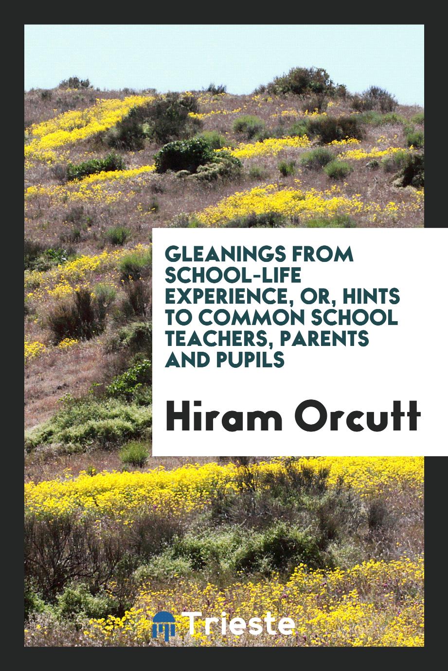 Gleanings from School-life Experience, Or, Hints to Common School Teachers, parents and pupils