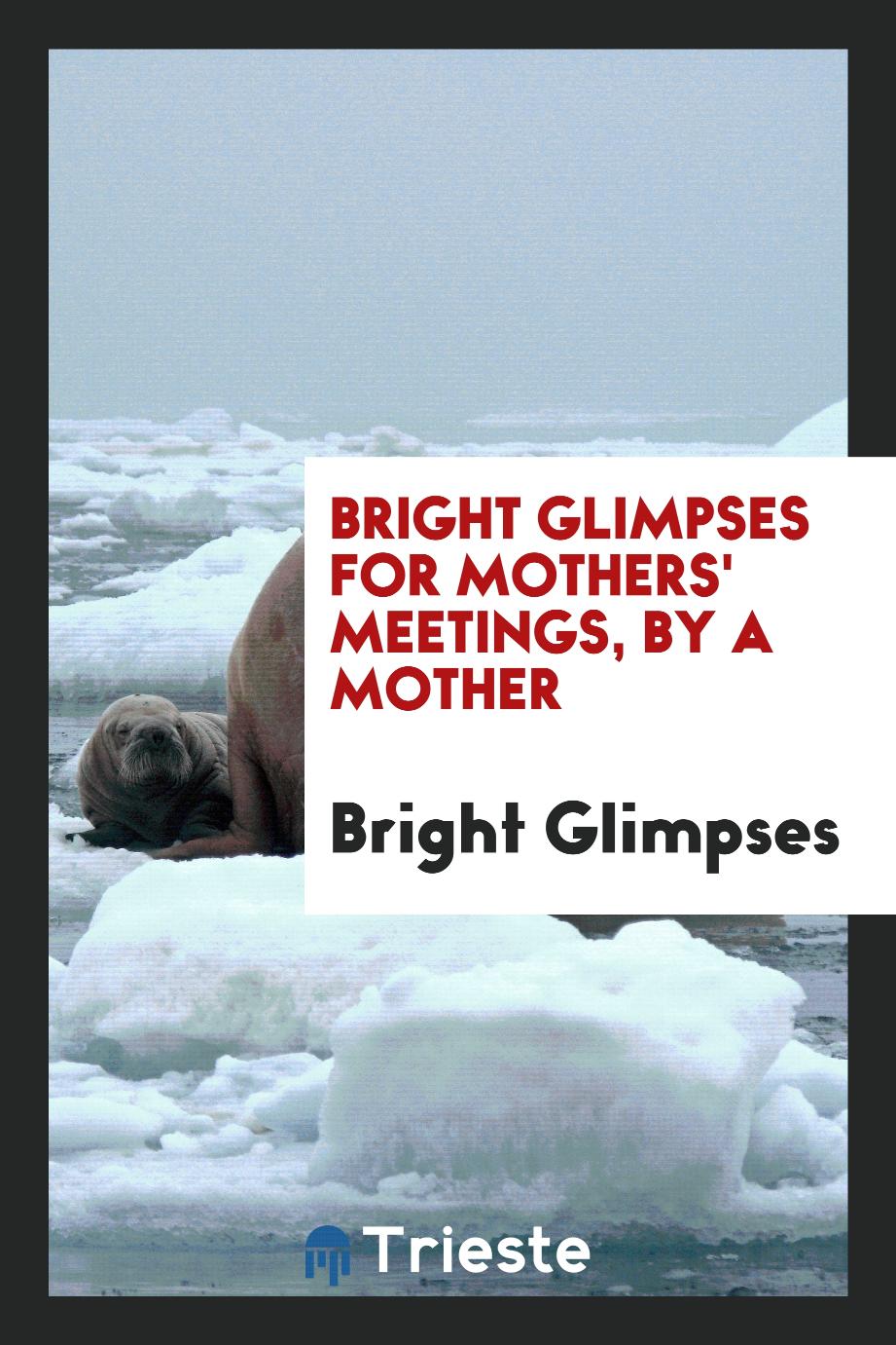 Bright Glimpses for Mothers' Meetings, by a Mother