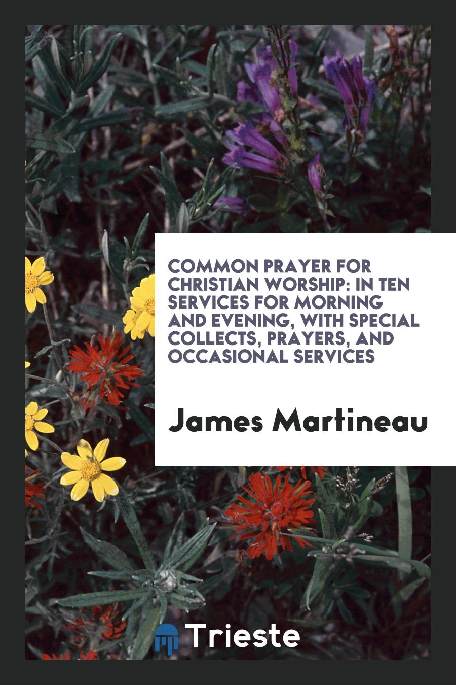 Common Prayer for Christian Worship: In Ten Services for Morning and Evening, with Special Collects, Prayers, and Occasional Services