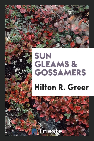 Sun gleams & gossamers