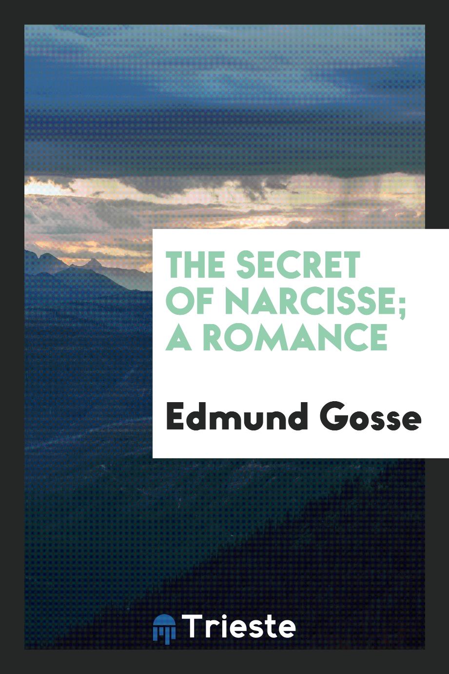 The secret of Narcisse; a romance