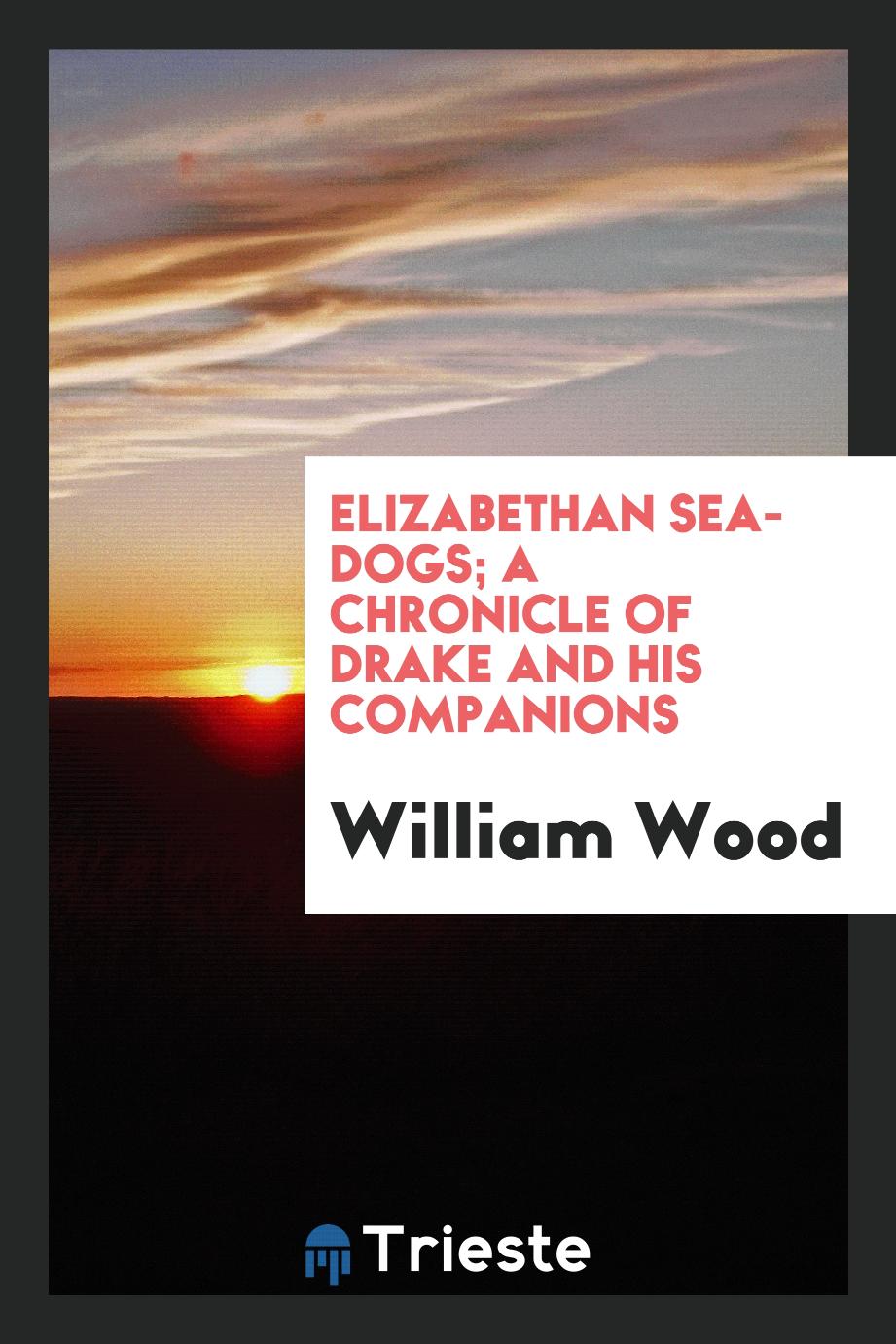 Elizabethan Sea-Dogs; A Chronicle of Drake and His Companions