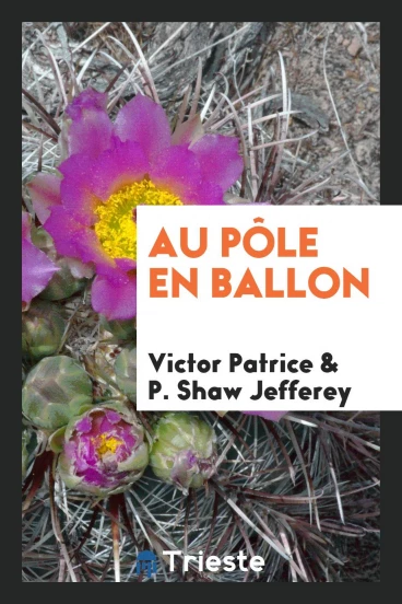Au pôle en ballon