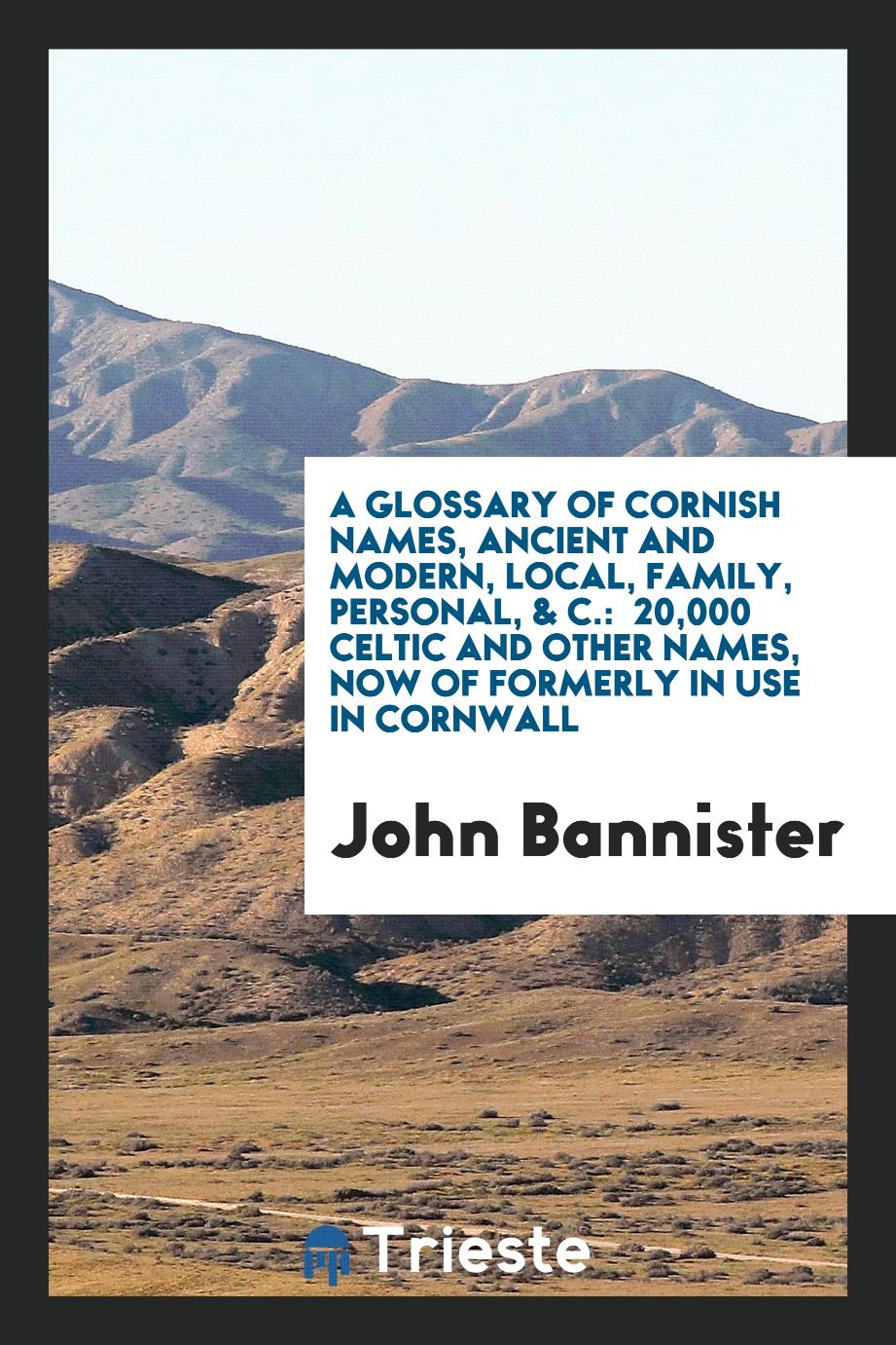 A Glossary of Cornish Names, Ancient and Modern, Local, Family, Personal, & C.: 20,000 Celtic and Other Names, Now of Formerly in Use in Cornwall