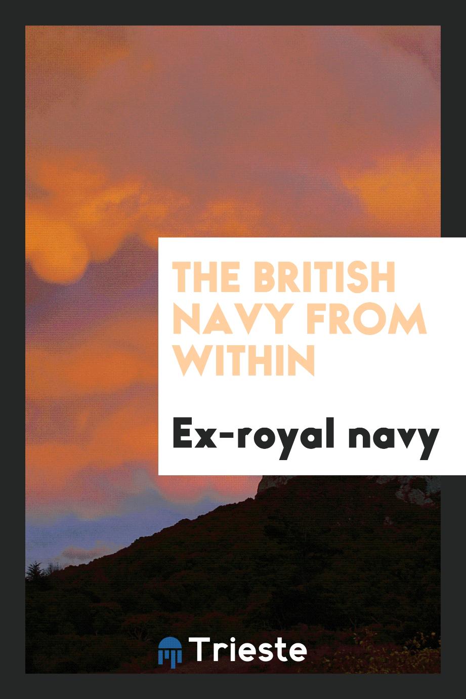 The British Navy from within