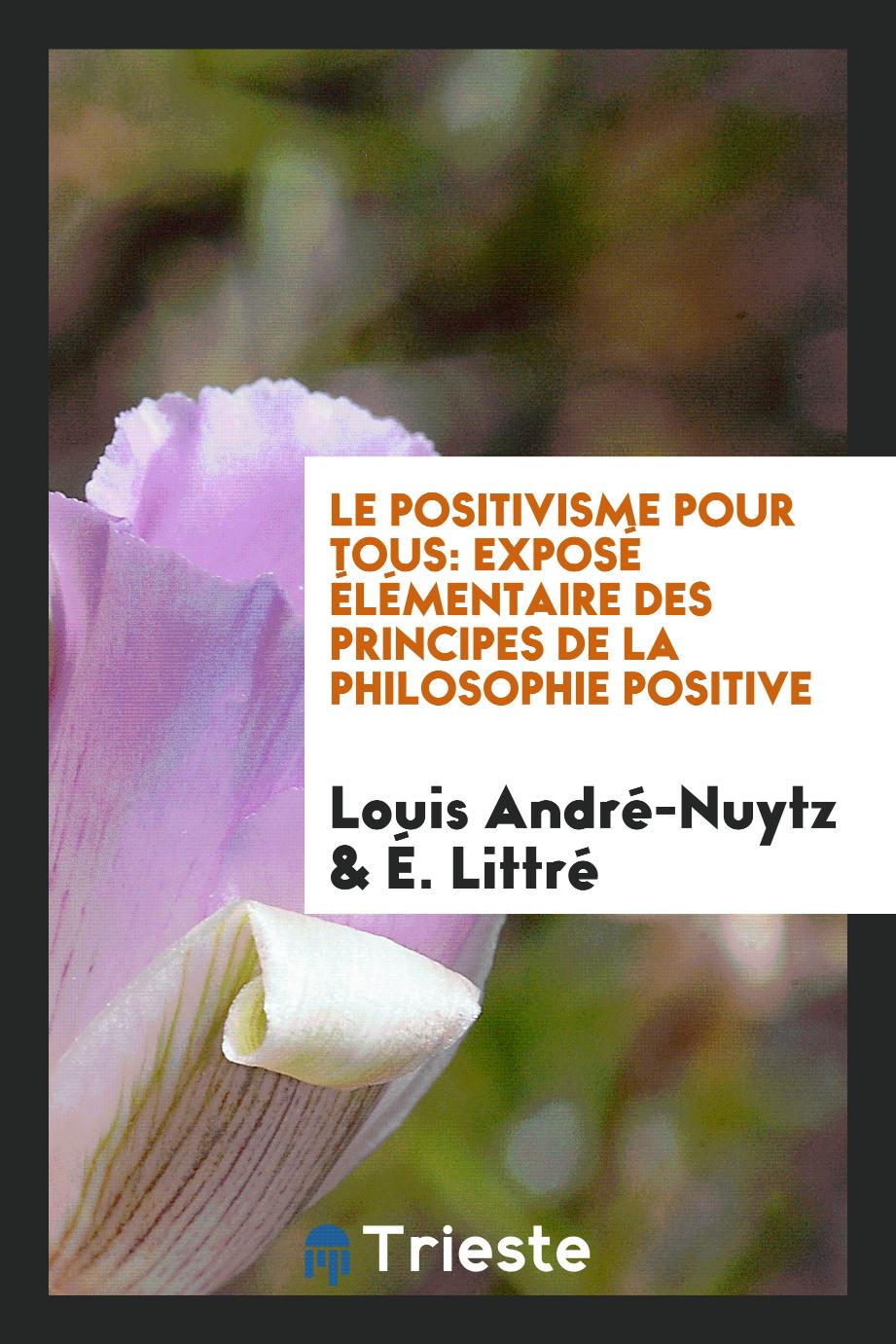 Le Positivisme Pour Tous: Exposé Élémentaire des Principes de la Philosophie Positive