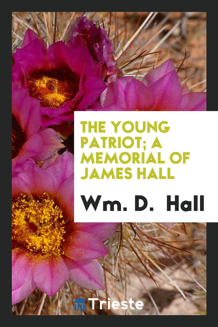 The young patriot; a memorial of James Hall