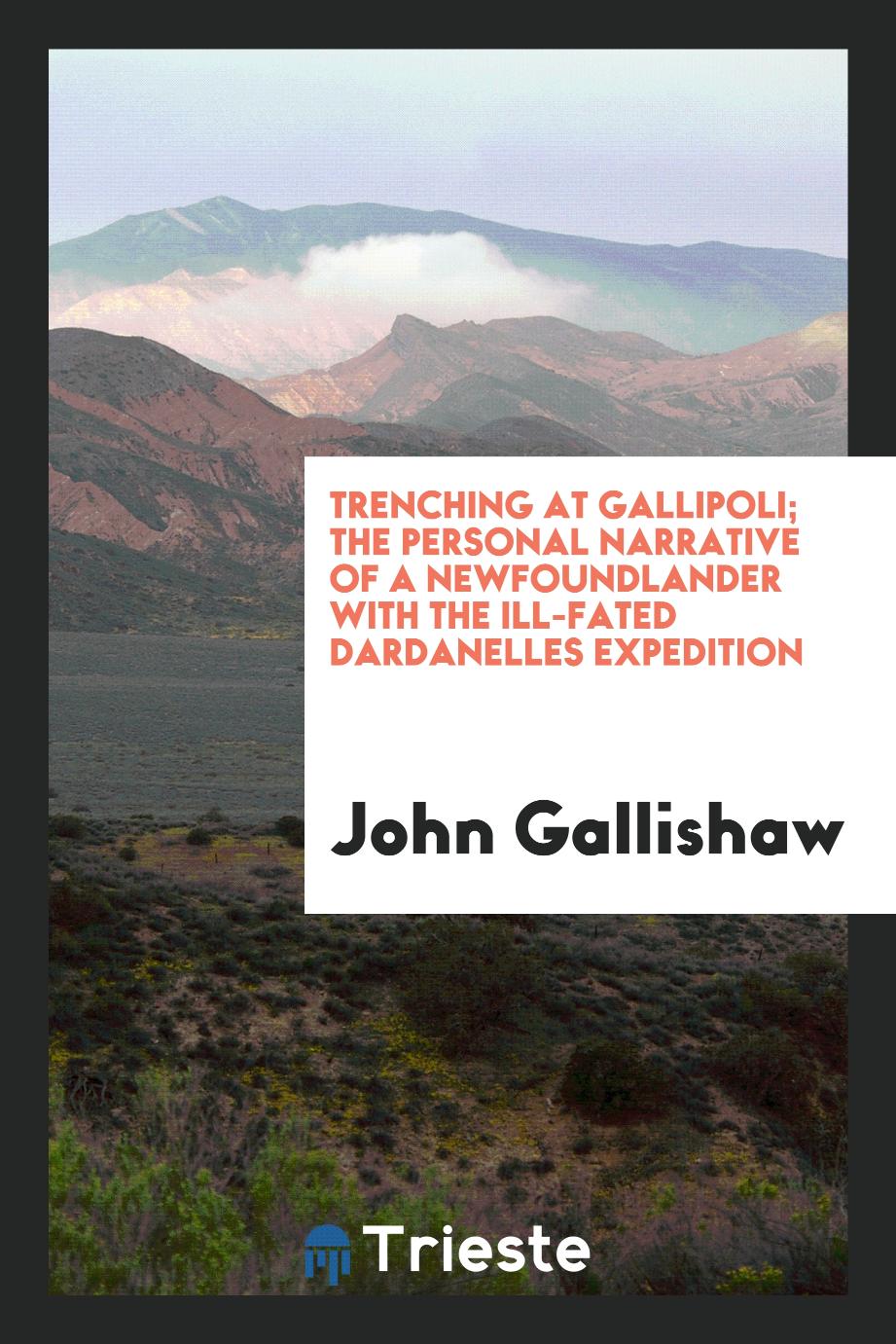 Trenching at Gallipoli; the personal narrative of a Newfoundlander with the ill-fated Dardanelles expedition