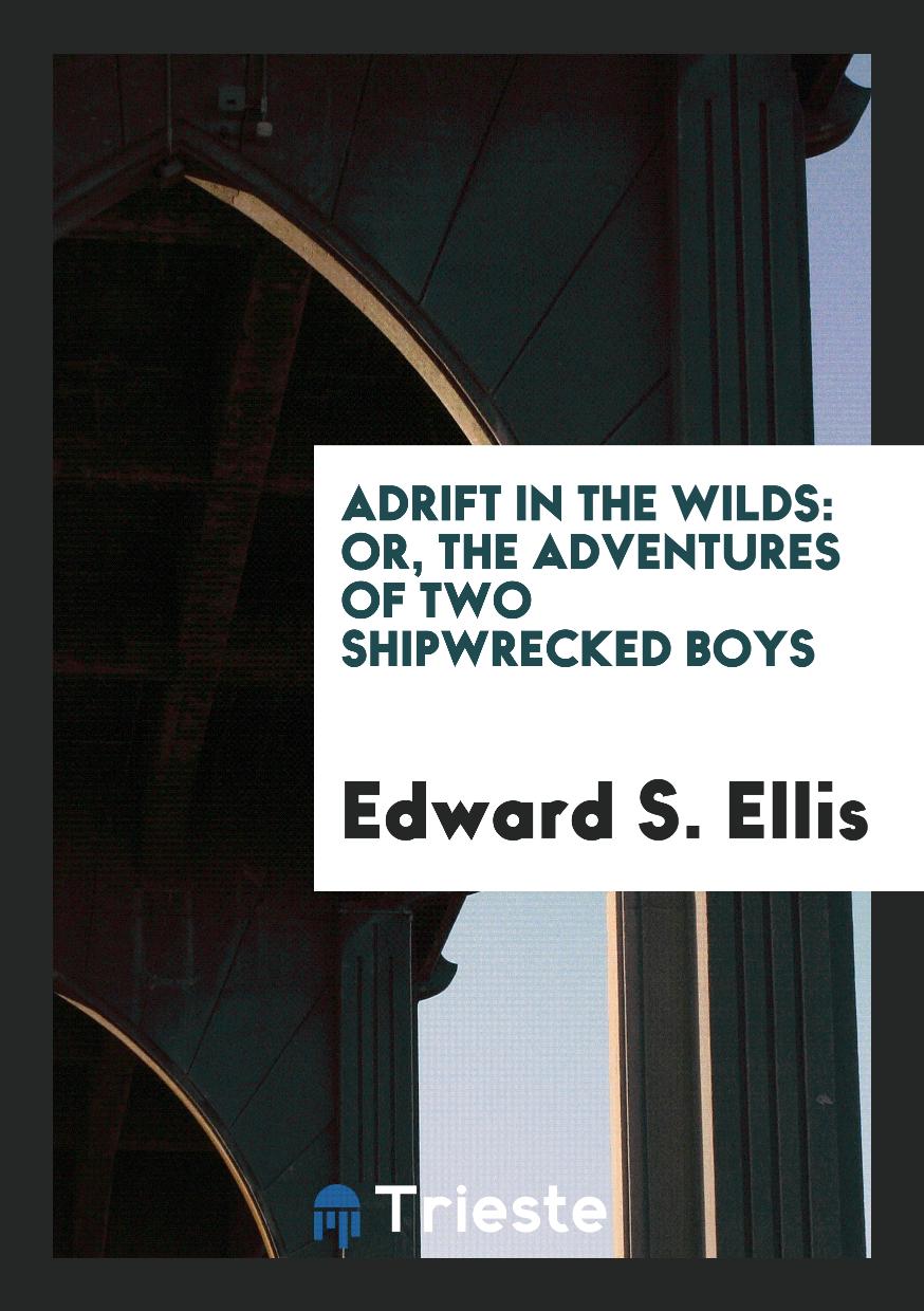 Adrift in the Wilds: Or, The Adventures of Two Shipwrecked Boys
