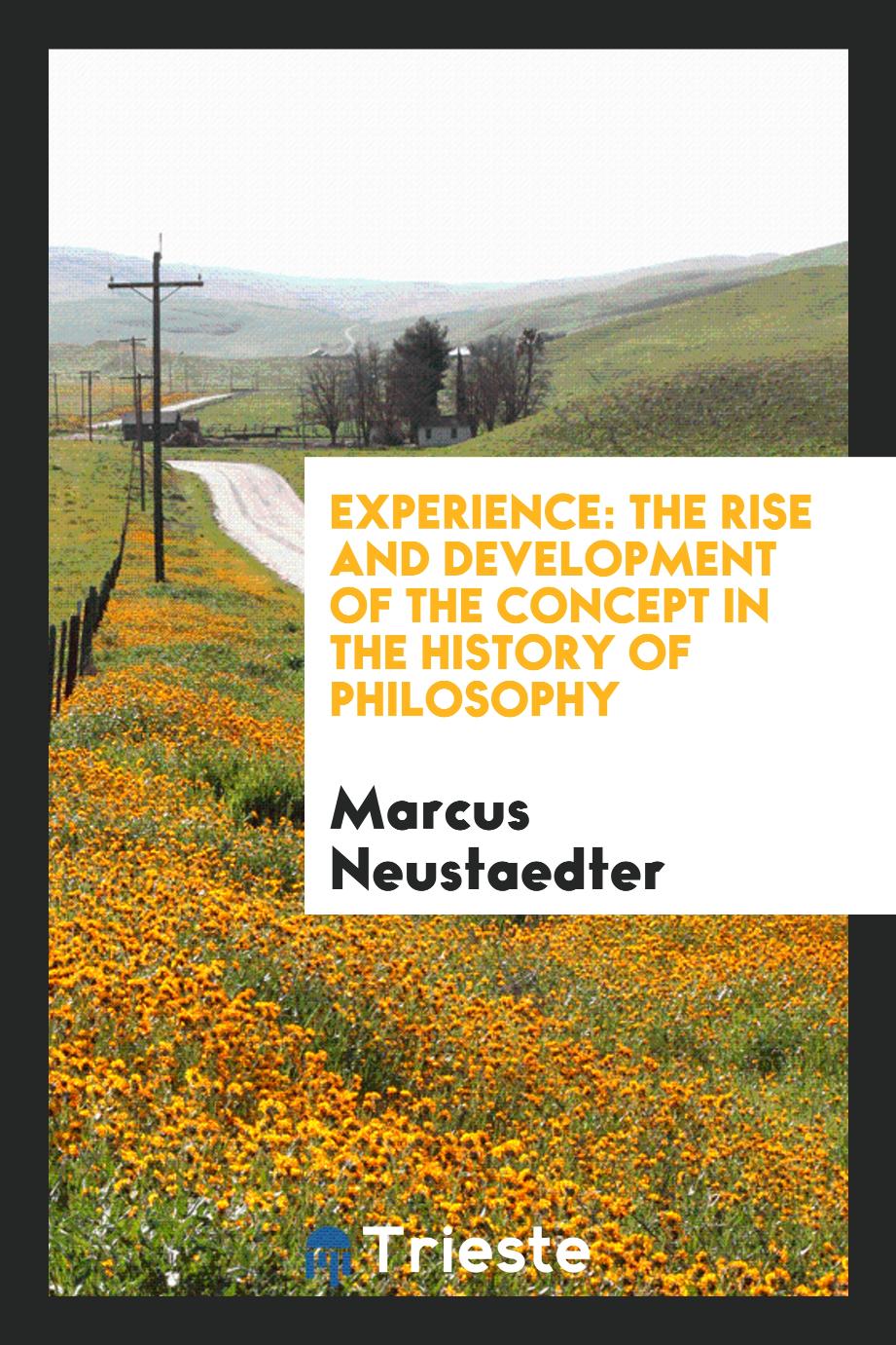 Experience: The Rise and Development of the Concept in the History of Philosophy