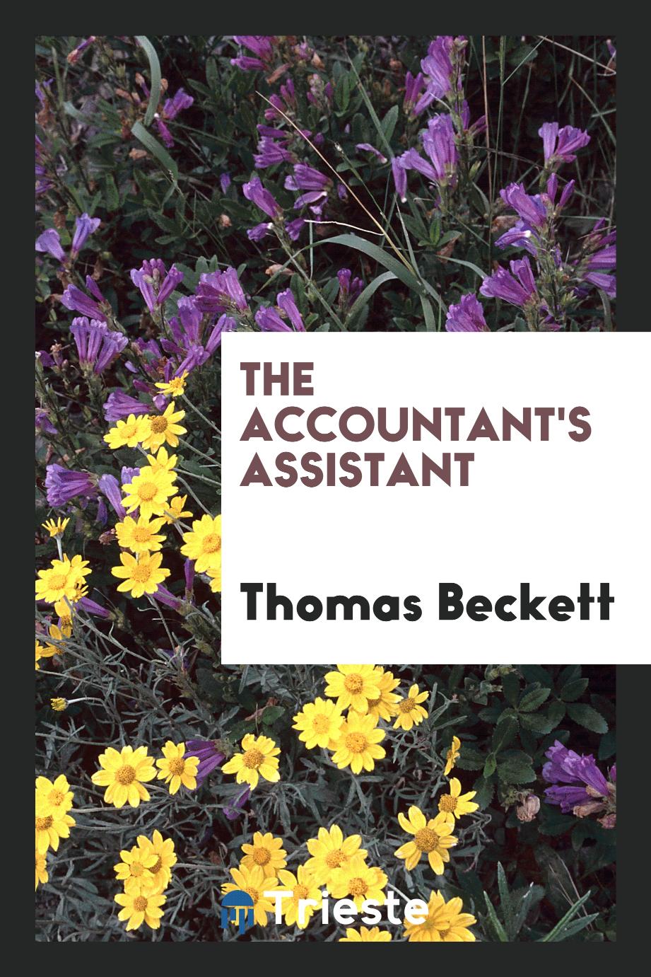 The Accountant's Assistant