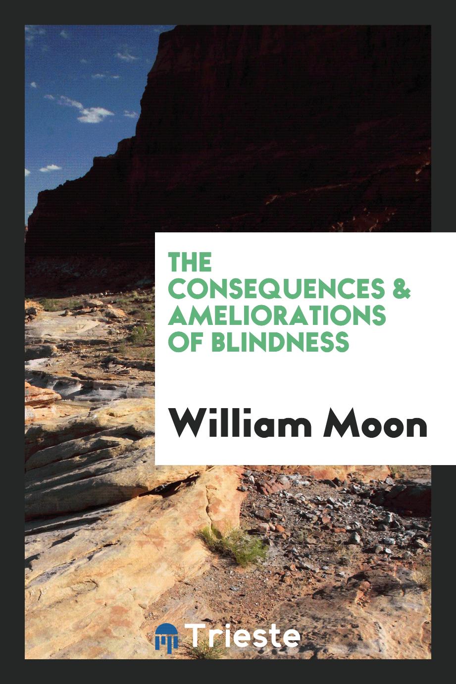 The consequences & ameliorations of blindness