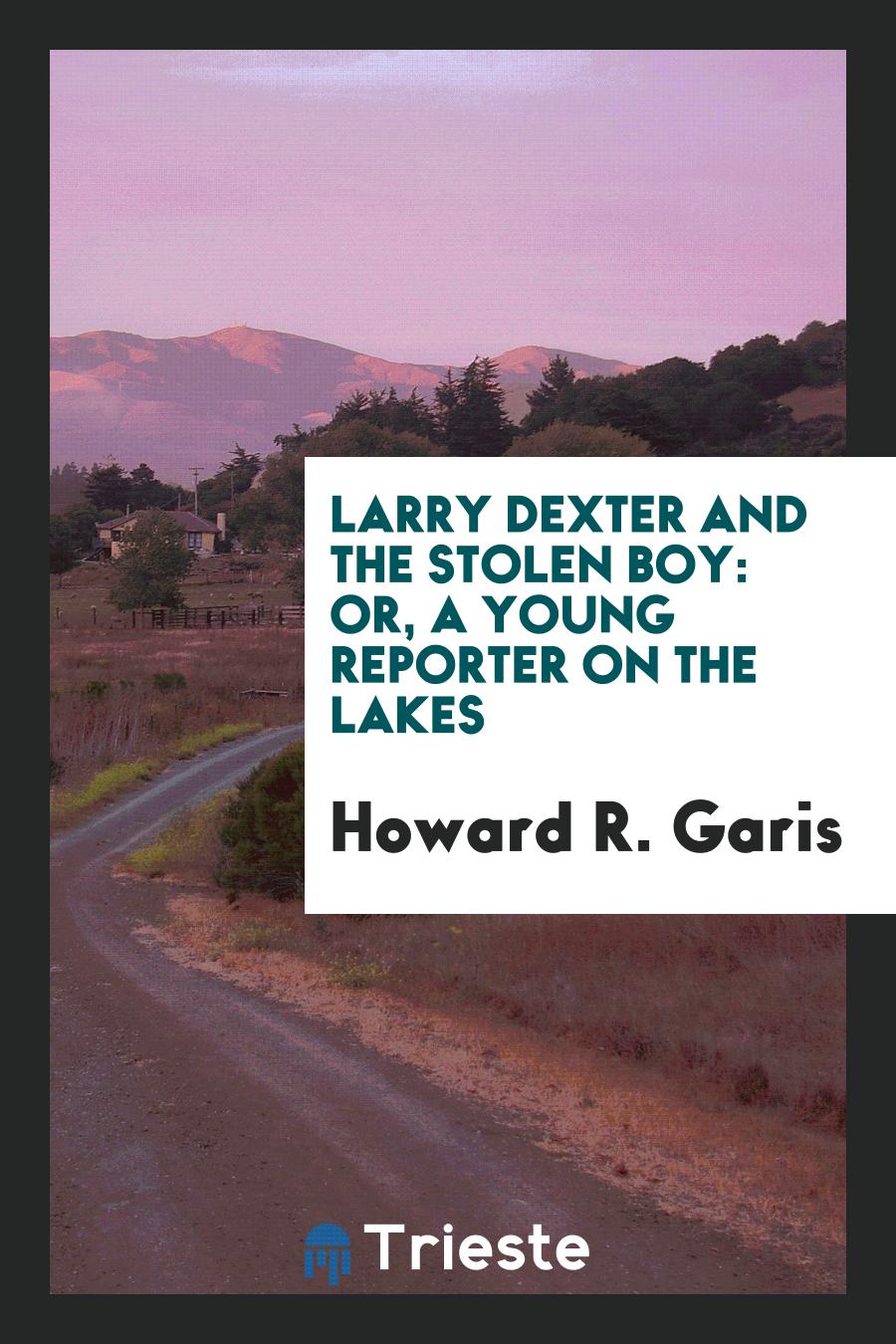Larry Dexter and the Stolen Boy: Or, a Young Reporter on the Lakes