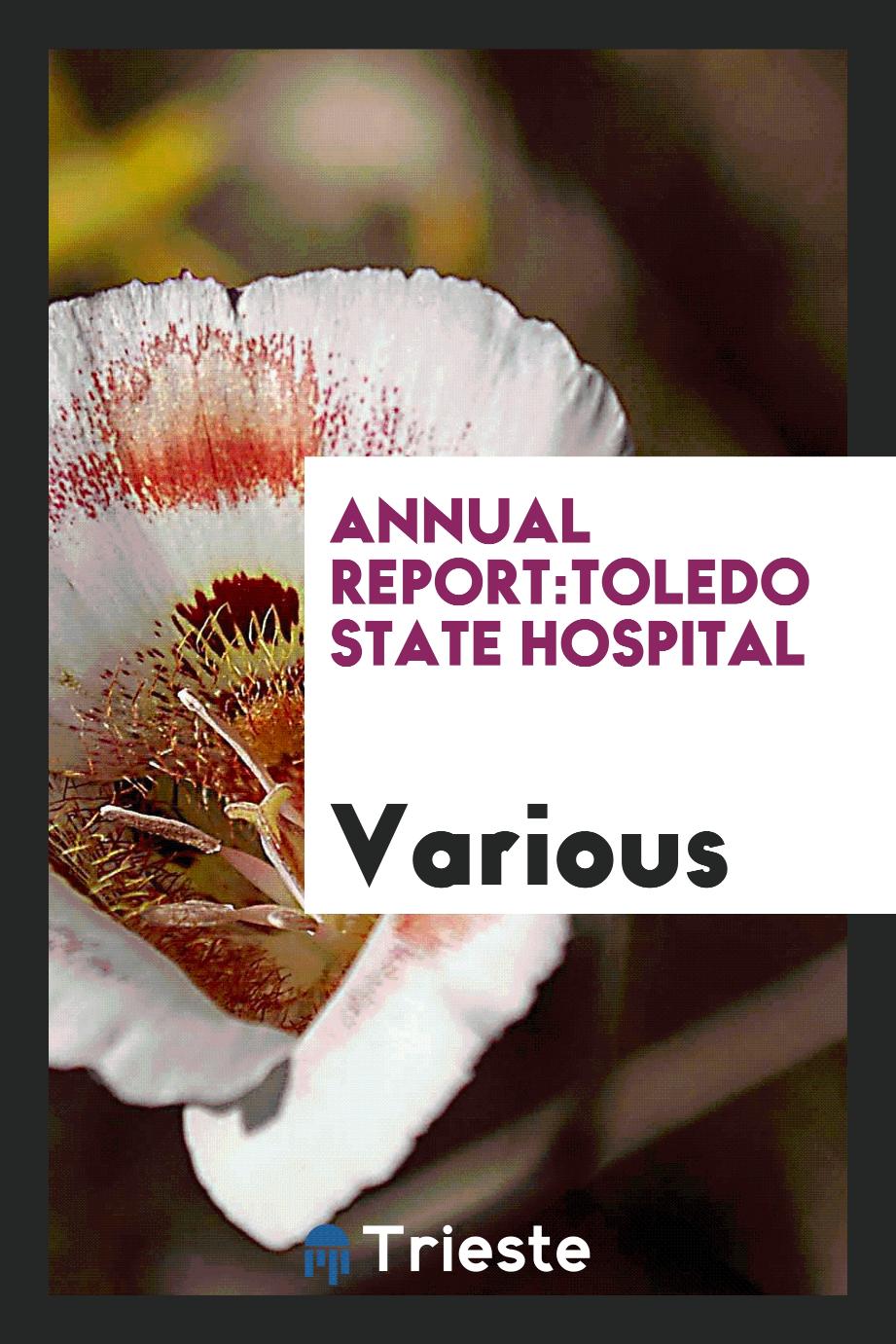 Various - Annual Report:Toledo State Hospital