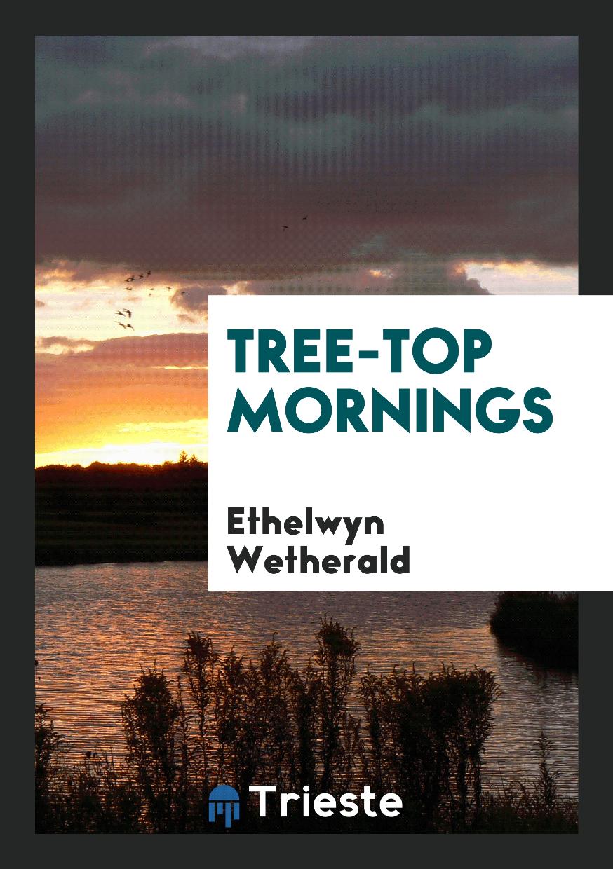 Tree-top Mornings