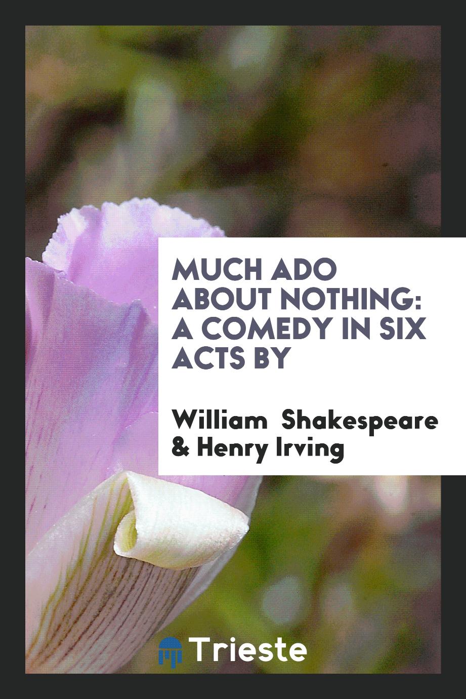 Much Ado about Nothing: A Comedy in Six Acts by