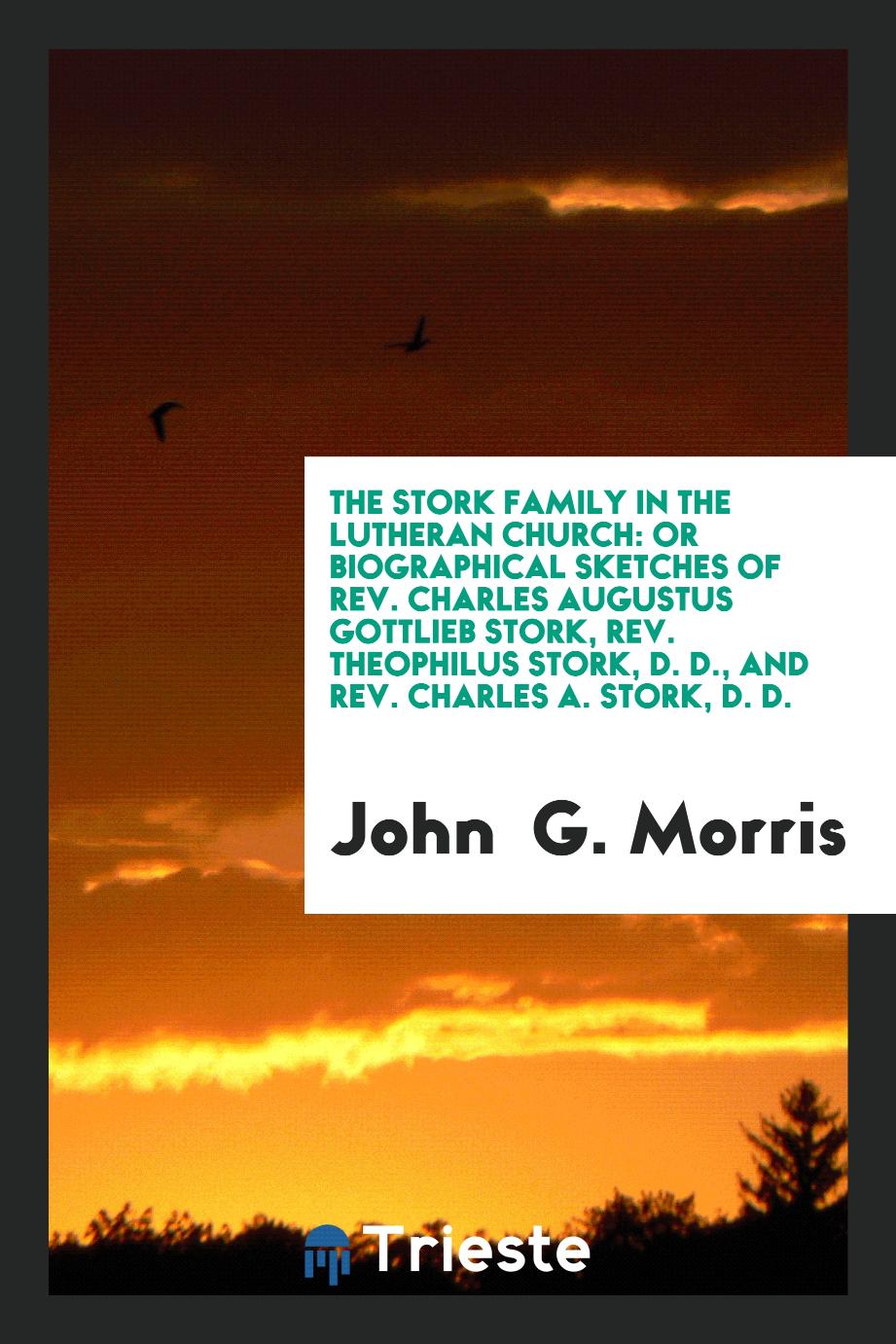 The Stork Family in the Lutheran Church: Or Biographical Sketches of Rev. Charles Augustus Gottlieb Stork, Rev. Theophilus Stork, D. D., and Rev. Charles A. Stork, D. D.