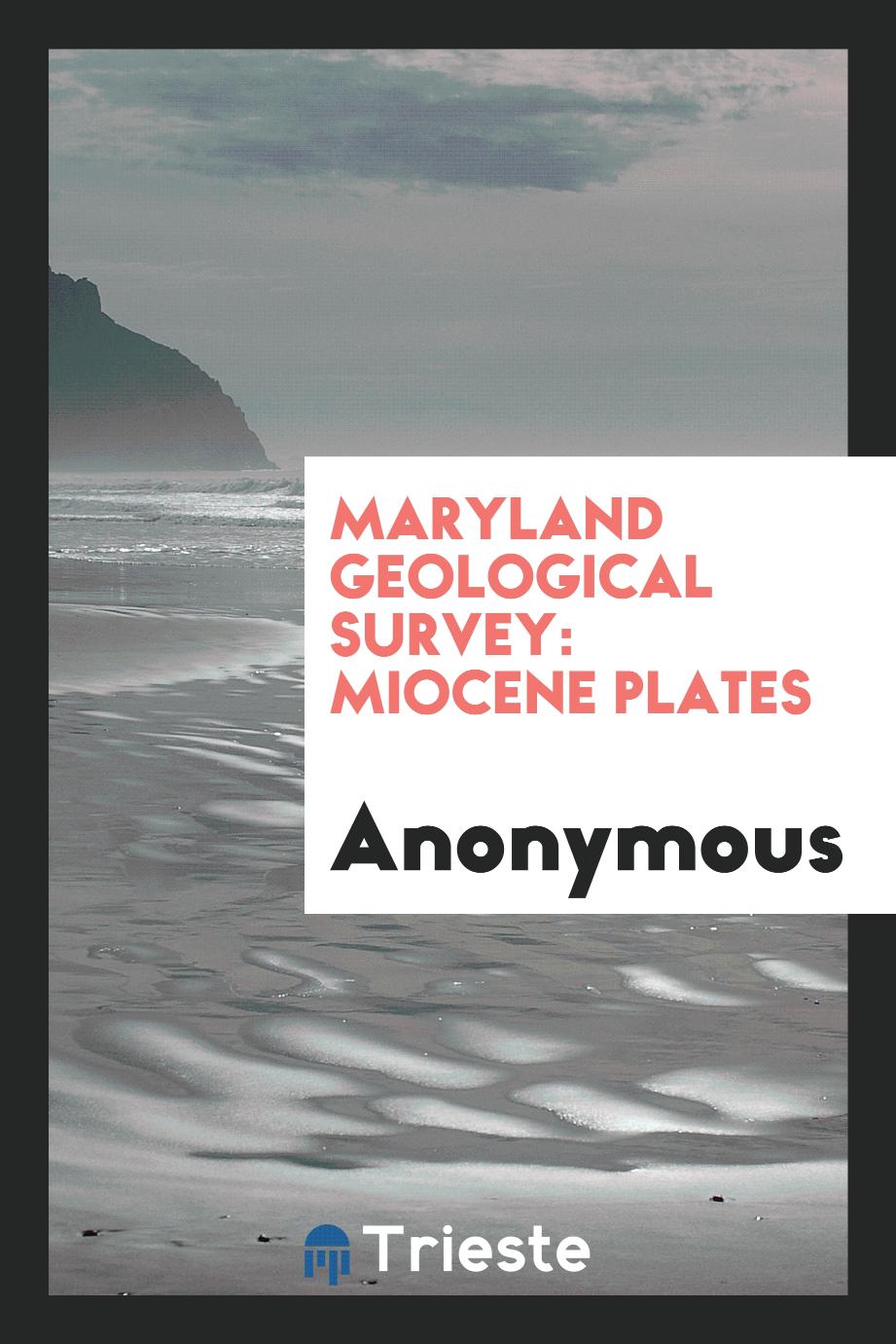 Maryland Geological Survey: Miocene Plates