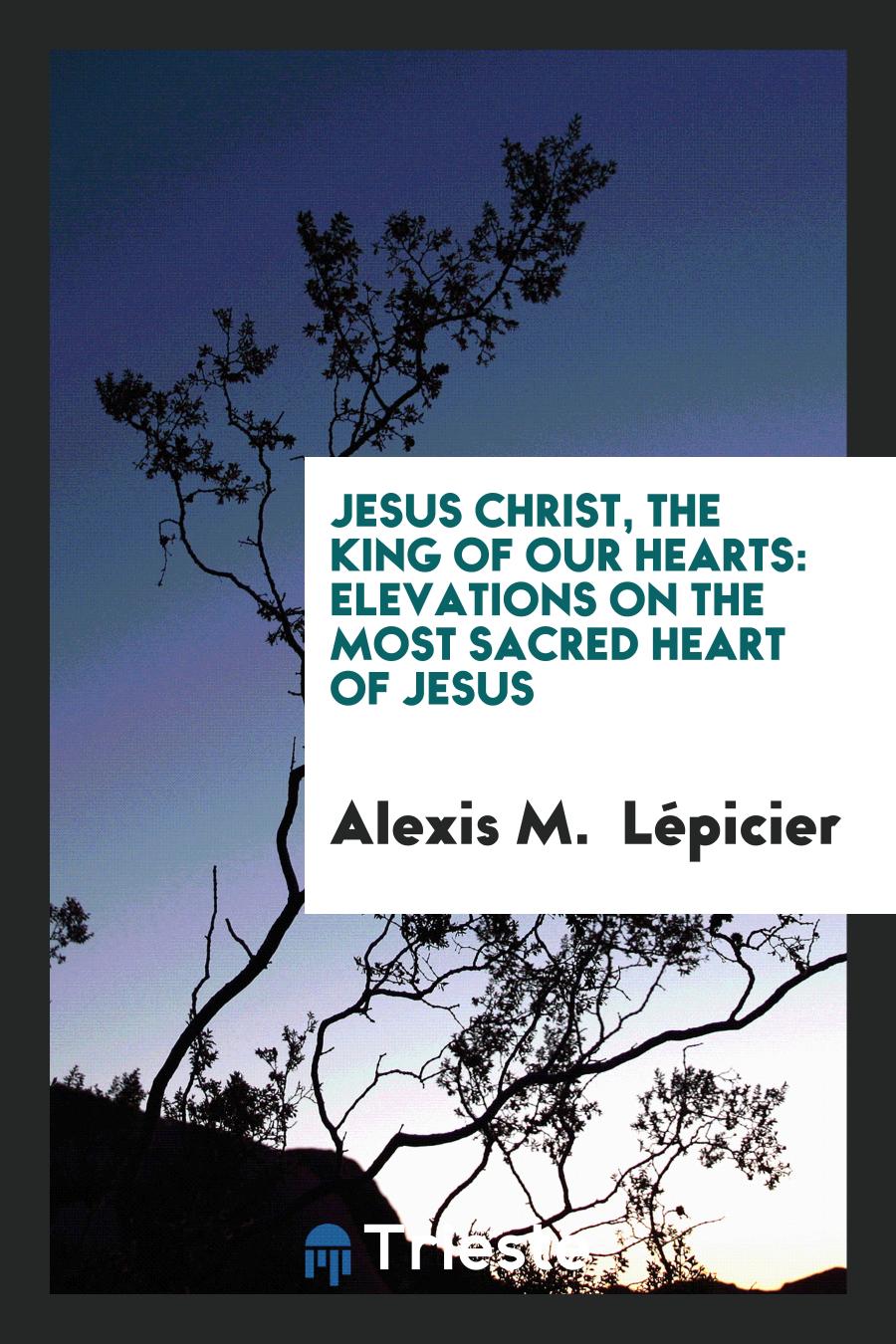 Jesus Christ, the King of Our Hearts: Elevations on the Most Sacred Heart of Jesus