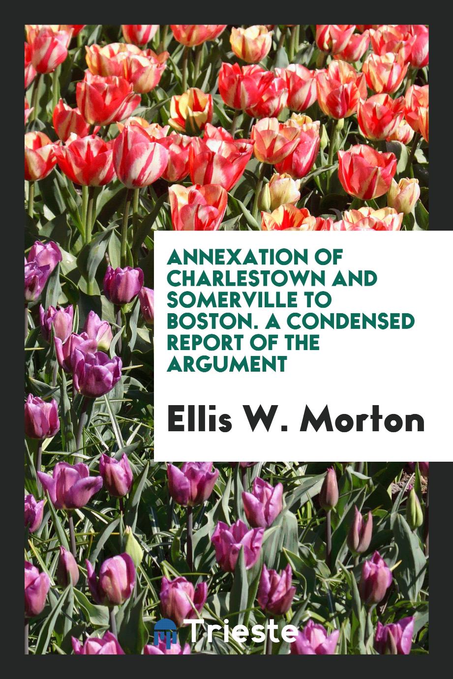 Annexation of Charlestown and Somerville to Boston. A condensed report of the argument