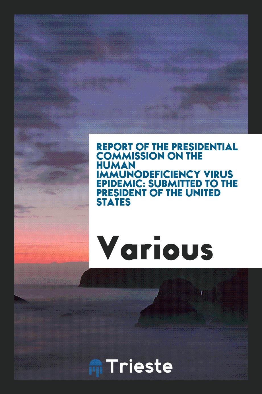 Report of the Presidential Commission on the Human Immunodeficiency Virus Epidemic: submitted to the President of the United States