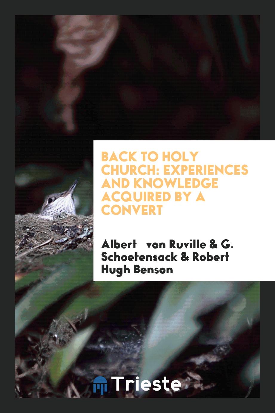 Back to Holy church: experiences and knowledge acquired by a convert