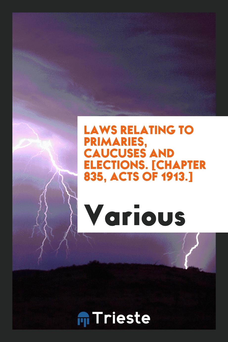 Laws relating to primaries, caucuses and elections. [Chapter 835, Acts of 1913.]